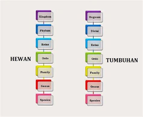 Klasifikasi Makhluk Hidup Pengertian Tujuan Manfaat Contoh Tata Nama