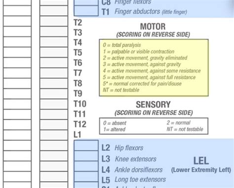 American Spinal Injury Association (ASIA) Impairment Scale - Physiopedia