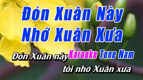 N Xu N N Y Nh Xu N X A Karaoke Tone Nam Karaoke Nh C S Ng Chu N