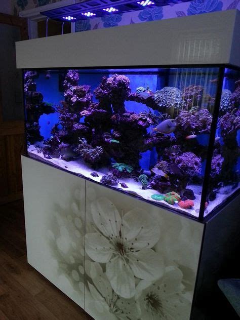 49 Aquarium Cabinet Ideas Aquarium Aquarium Cabinet Aquarium Stand