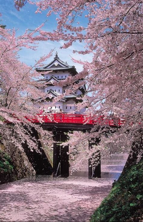 Destination: World : Hirosaki Castle, Japan