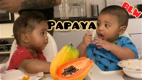 BLWPapayatwins Eating Papaya For The First Time Baby Led Weaning