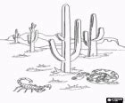 Desierto con cactus y montañas para colorear pintar e imprimir