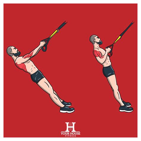 Exercise Tutorial Trx Row