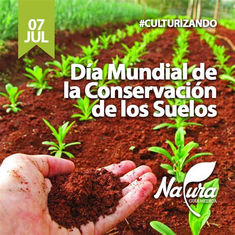 El Día Mundial De La Conservación Del Suelo Se Celebra Todos Los Años