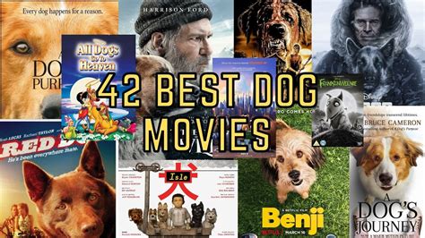 The 42 Best Dog Movies To Watch Youtube