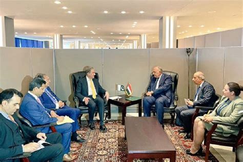 FM Qureshi Discusses Afghanistan Issue With Egyptian Counterpart