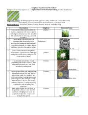 Kingdom Classification Worksheet Use Techn Doc Kingdom