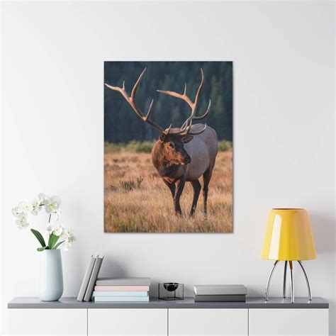 Bull Elk Big Bull Elk Elk Rut Elk Art Elk Photography Elk Photo ...