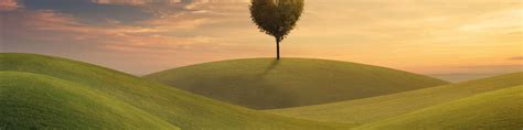 Download Wallpaper Field The Sky Grass Love Tree Heart Love