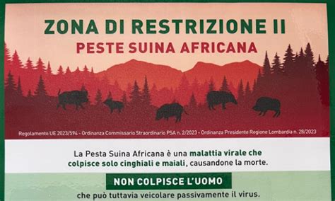 Peste Suina Africana Ora Un Emergenza Nazionale News Prima