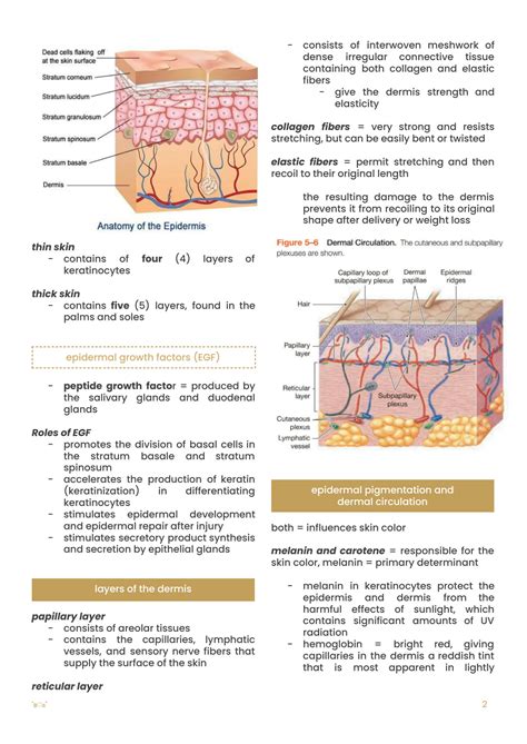 Solution Biol Integumentary System Studypool