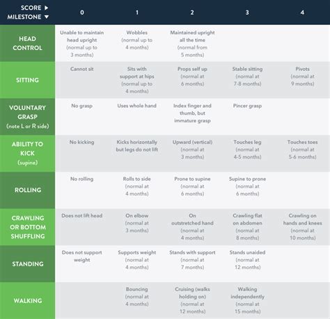 Functional Assessment