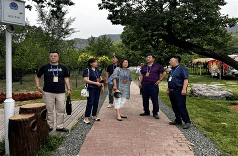 【政在协商】回民区政协召开“打造文旅高质量发展产业项目，提升我区特色文旅发展”调研协商会暨重点提案督办会文化