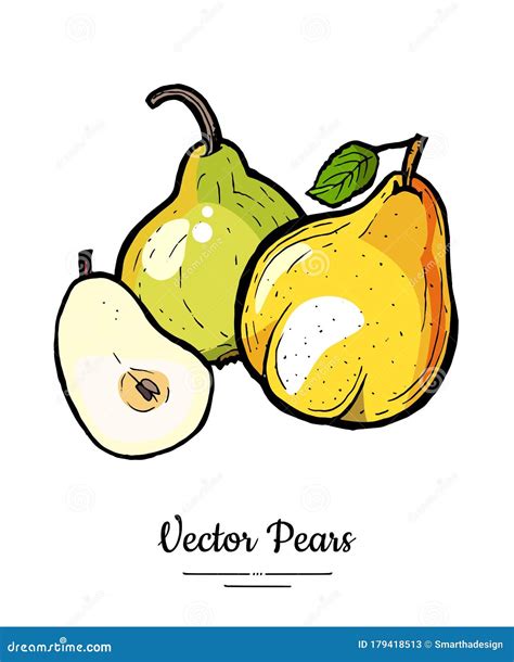 Pears Fruits Vector Isolate Green Pear Whole Chopped Half Cut Slice