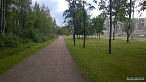По дороге на работу - ЯПлакалъ