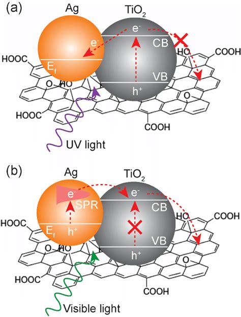 Schematic Representation Of Possible Electron Transfer Paths In