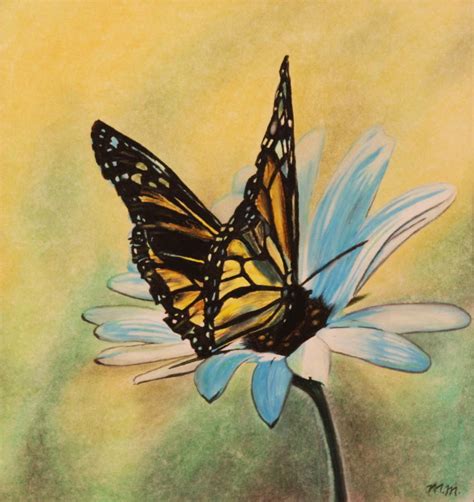 Butterfly On Flower Drawing at GetDrawings | Free download