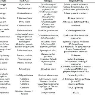 List Of Endophytes Mediating Abiotic Stress Tolerance In Plants