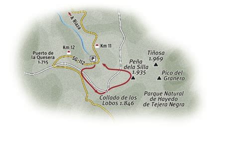 Hayedo De La Pedrosa En La Sierra De Ayll N Desnivel