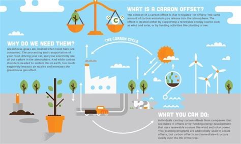 What Are Carbon Offsets Air Pollution Facts That Will Take Your