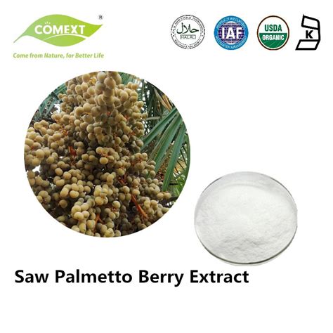 Comext Organic Free Sample 85 Fatty Acids Saw Palmetto Extract Powder