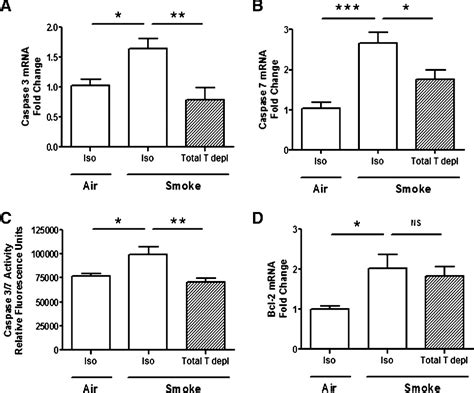 Figure From T Cell Depletion Protects Against Alveolar Destruction