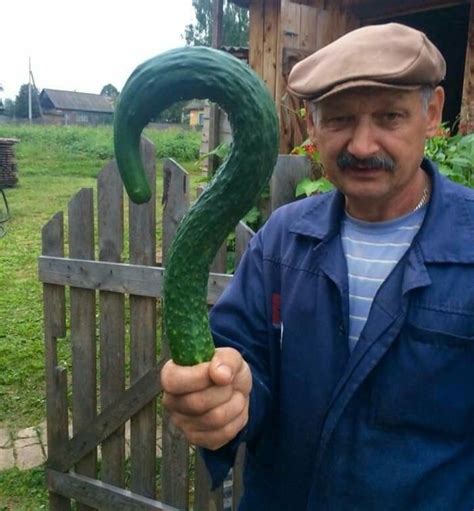 Behold: The Russian Riddler aka the Crimean Cucumber - 9GAG