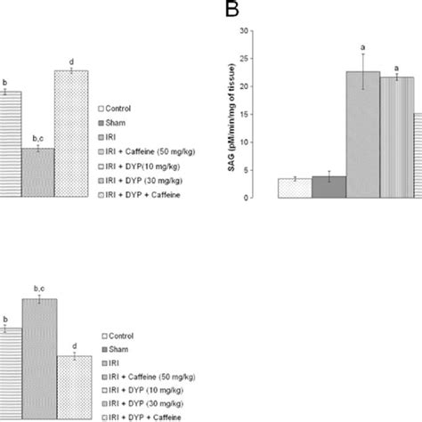 Effect Of Pharmacological Interventions On Renal Oxidative Stress