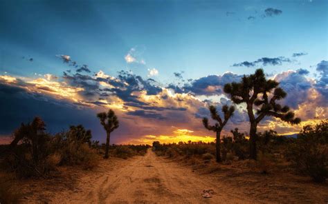 🔥 Download Mojave Desert North America Wallpaper HD 4k Windows by ...