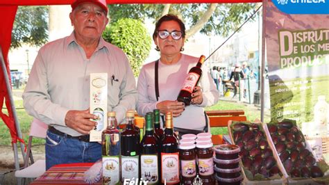 Lanzamiento en la provincia de Cañete del fondo concursable Procompite