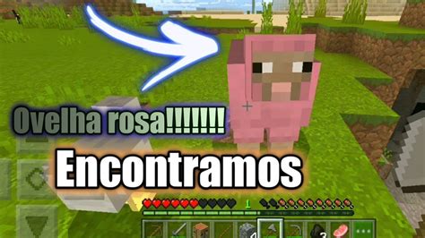 Minecraft At Zerar Nunca Tive Tanta Sorte Encontramos A Ovelha Rosa