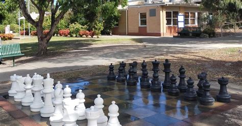 Mornington Secondary College Newsletter Issue 6