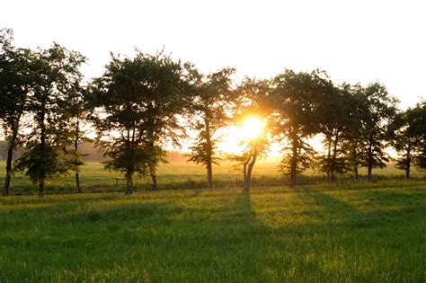 Immagini Belle Paesaggio Albero Natura Erba Cielo Luce Del Sole