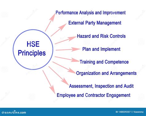 Ocho Principios Del Hse Stock De Ilustración Ilustración De Examen