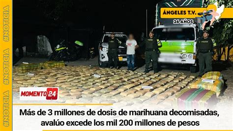 Más De 3 Millones De Dosis De Marihuana Decomisadas Avalúo Excede Los Mil 200 Millones De Pesos