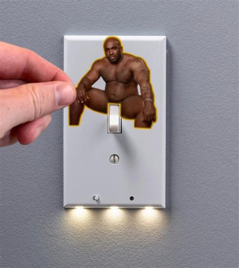 Barry Wood Light Switch Sticker Calcomanía Divertida Broma Lol Etsy