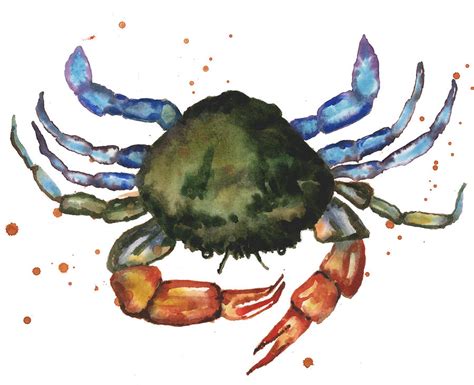 Watercolor Crab Painting Painting by Alison Fennell | Fine Art America