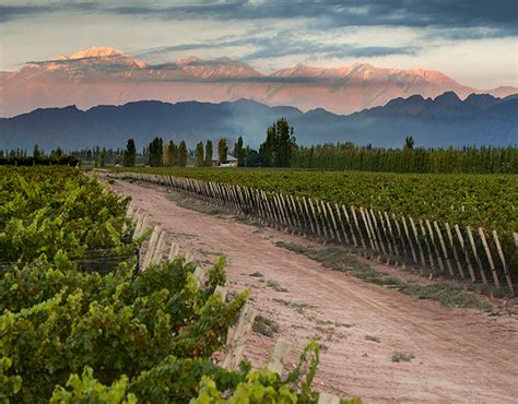 Doc Luj N De Cuyo Archives Wines Of Argentina Blog