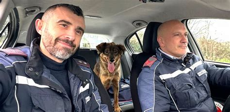 Un Poliziotto A Quattro Zampe A Narni Umbria 7