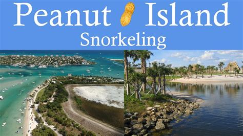 Peanut Island Snorkel Guide Beach Reefs And Marine Life In Just 4