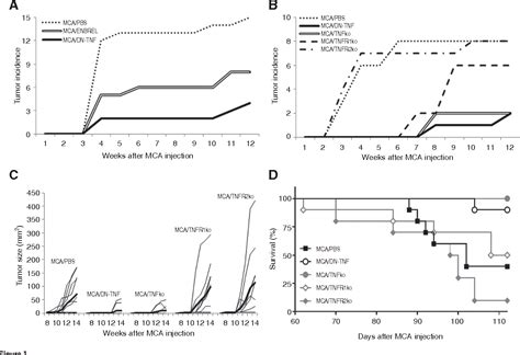 Figure From Inhibition Of Soluble Tumor Necrosis Factor Prevents