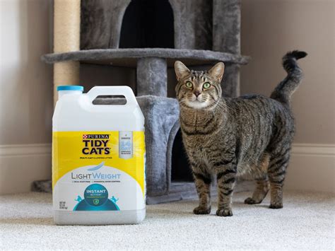 Purina Tidy Cats Clumping Litter Just 5 20 At Publix Regular Price