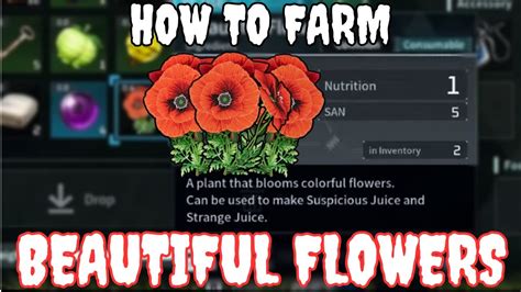 HOW TO FARM BEAUTIFUL FLOWERS Palworld YouTube