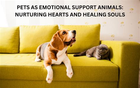 Pets as Emotional Support Animals: Nurturing Hearts and Healing Souls ...