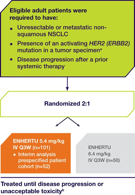 Destiny Lung Trial Enhertu Fam Trastuzumab Deruxtecan Nxki