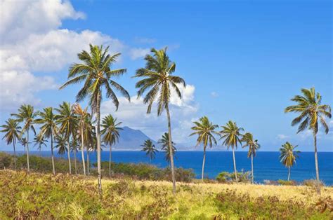 Sint Eustatius | viviSail