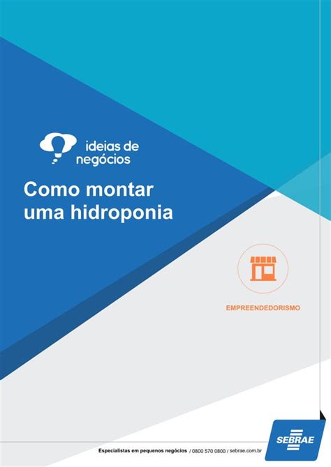 Horticultura Como Montar Uma Hidroponia PDF