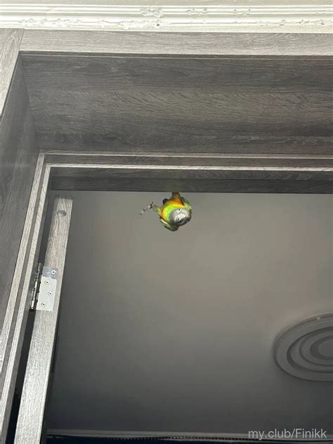 Katya Free Photos Nude Pics XHamster