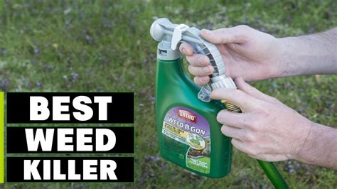 Top 10 Best Weed And Grass Killers In 2024 The Ultimate Countdown Reviews And Best Picks Youtube